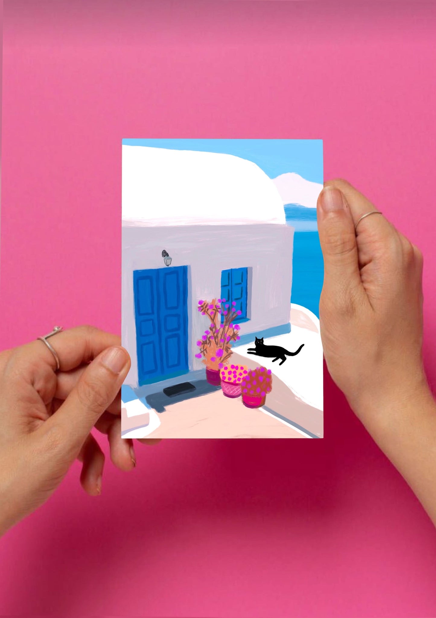 Carte postale : Baignade de chat