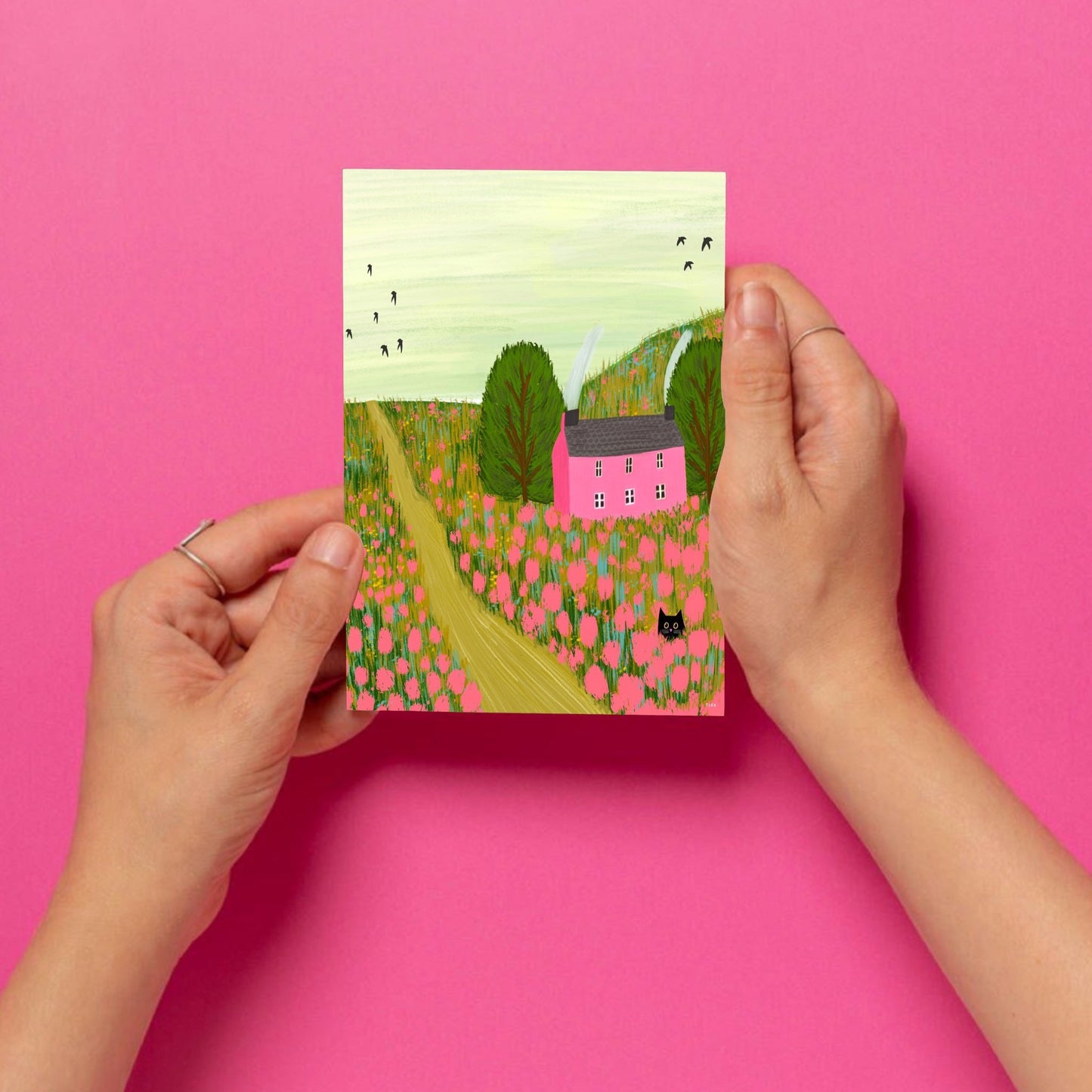 Pink Cottage postcard