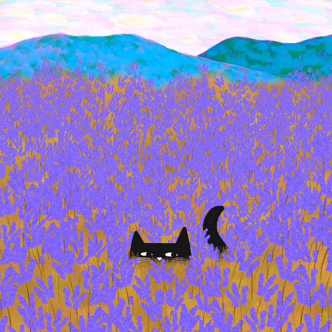 Lavender Field Cat print