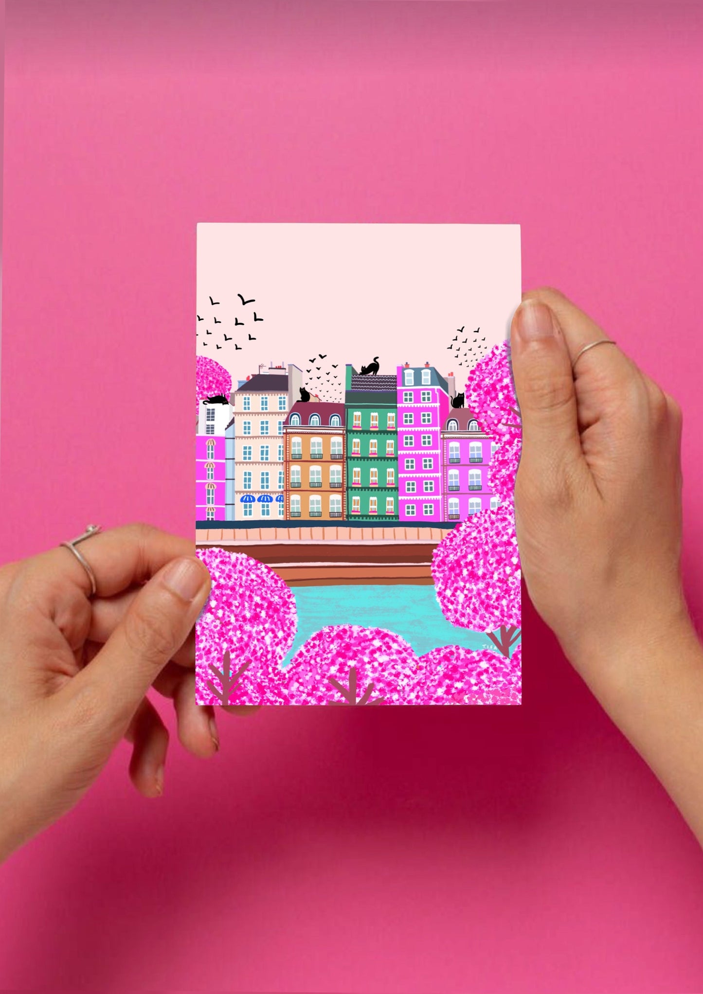 Cats In Paris postcard