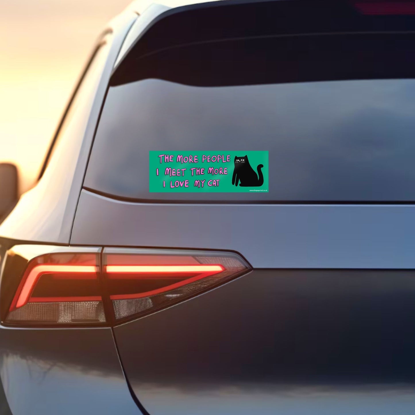 I Love My Cat car bumper sticker